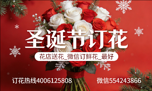 中山石岐区花店送花_微信订鲜花_圣诞节订花_最好? 中山石岐区花店